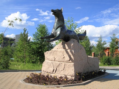 Памятник «Чёрный лис» — гербовый символ Сургута. Расположен у входа в историко-культурный центр «Старый Сургут» на улице Энергетиков.Автор — тобольский скульптор-камнерез М. В. Тимергазеев.Торжественное открытие состоялось в июне 2006 года, было приурочено ко дню празднования основания Сургута. Чёрный лис — геральдический символ Сургута: в 1785 году по указу Екатерины II он появился на гербе города, так как в местности их было очень много.